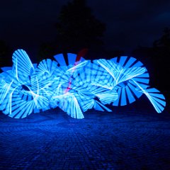DSC06  LightNight Hof