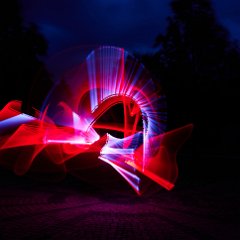 Z6III_023532