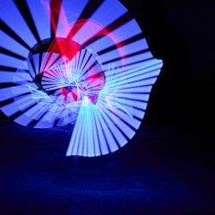 Z6III_023533